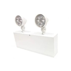 UNITÉ BATTERIE ACIER 6VCC 36W 2 TÊTES PAR18 2W DEL